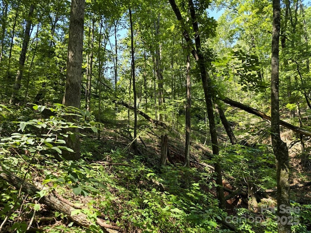 LOT31 Mountain Lookout Dr, Bostic, NC 28018 - photo 16
