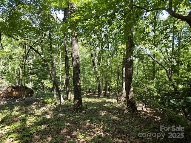 LOT31 Mountain Lookout Dr, Bostic, NC 28018 - photo 18