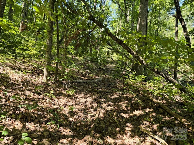 LOT31 Mountain Lookout Dr, Bostic, NC 28018 - photo 19
