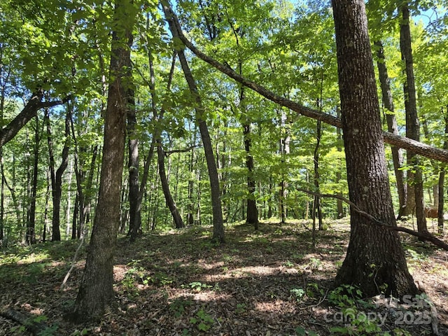 LOT31 Mountain Lookout Dr, Bostic, NC 28018 - photo 20
