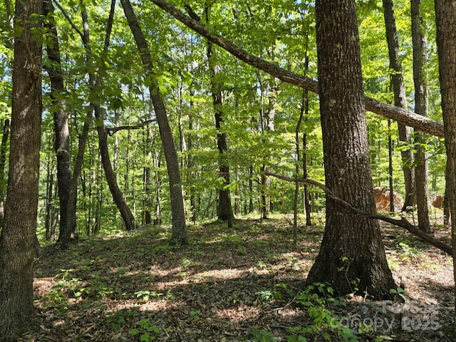 LOT31 Mountain Lookout Dr, Bostic, NC 28018 - photo 21