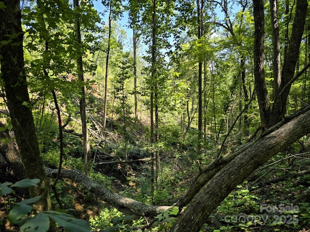 LOT31 Mountain Lookout Dr, Bostic, NC 28018 - photo 23
