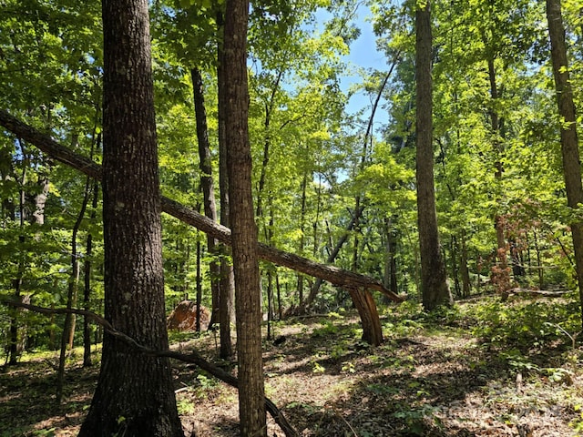 LOT31 Mountain Lookout Dr, Bostic, NC 28018 - photo 24
