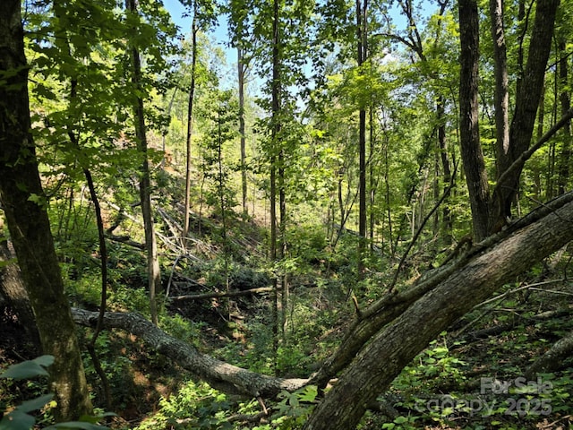LOT31 Mountain Lookout Dr, Bostic, NC 28018 - photo 25