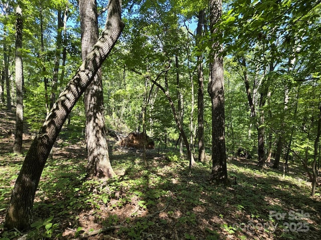LOT31 Mountain Lookout Dr, Bostic, NC 28018 - photo 26
