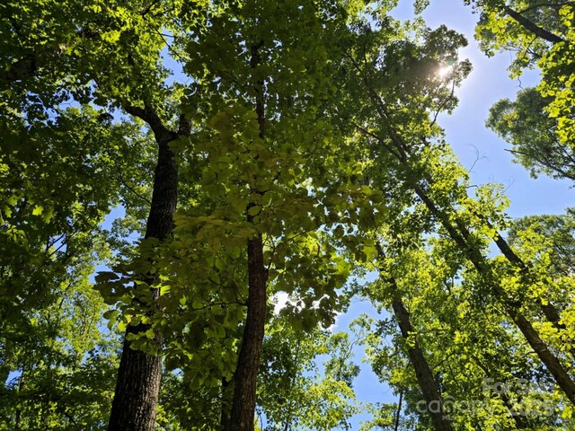 LOT31 Mountain Lookout Dr, Bostic, NC 28018 - photo 28