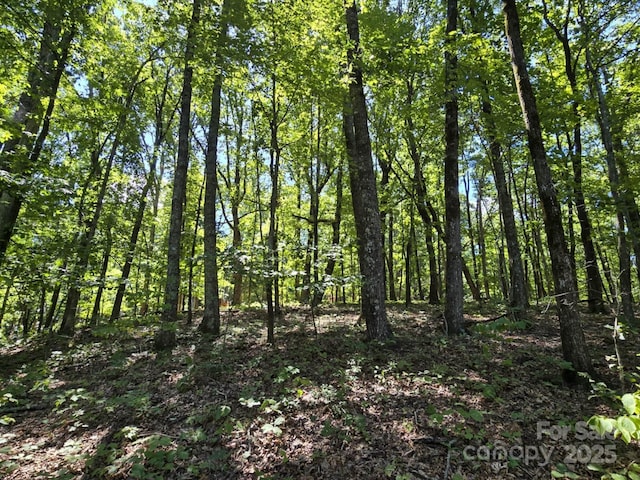 LOT31 Mountain Lookout Dr, Bostic, NC 28018 - photo 29