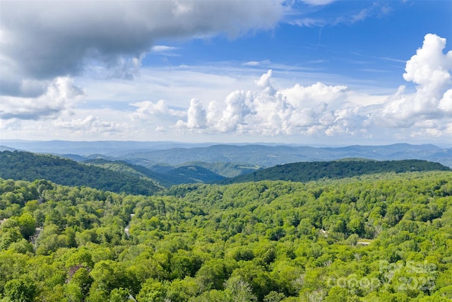 124 Holly Ln, Beech Mountain, NC 28604 - photo 11