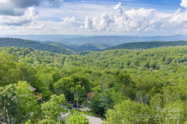 124 Holly Ln, Beech Mountain, NC 28604 - photo 12