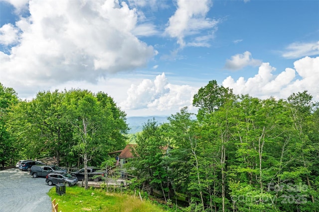 124 Holly Ln, Beech Mountain, NC 28604 - photo 35