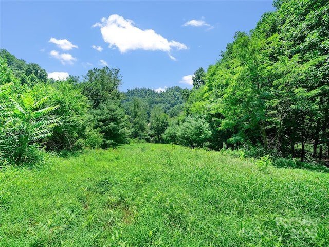 1377 Langford Branch Rd, Burnsville, NC 28714 - photo 4