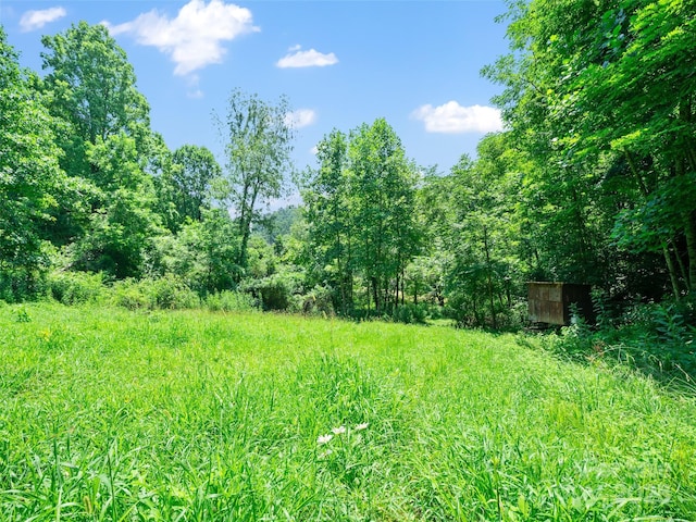 1377 Langford Branch Rd, Burnsville, NC 28714 - photo 5