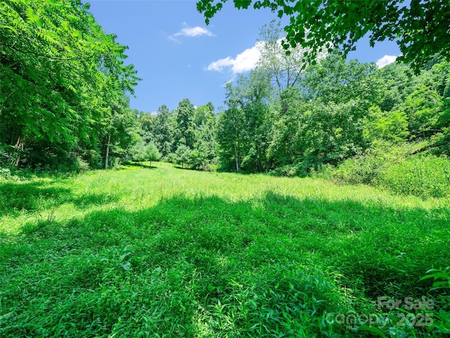 1377 Langford Branch Rd, Burnsville, NC 28714 - photo 6