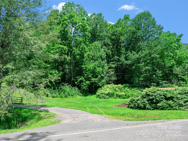 1377 Langford Branch Rd, Burnsville, NC 28714 - photo 8