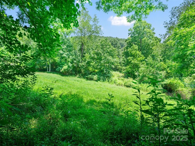 1377 Langford Branch Rd, Burnsville, NC 28714 - photo 13