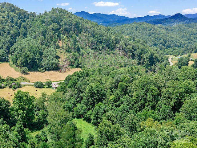 1377 Langford Branch Rd, Burnsville, NC 28714 - photo 14