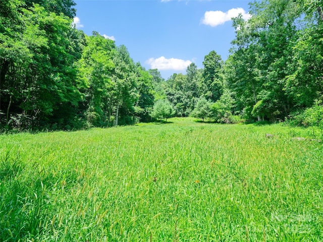 1377 Langford Branch Rd, Burnsville, NC 28714 - photo 17