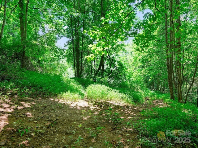 1377 Langford Branch Rd, Burnsville, NC 28714 - photo 18
