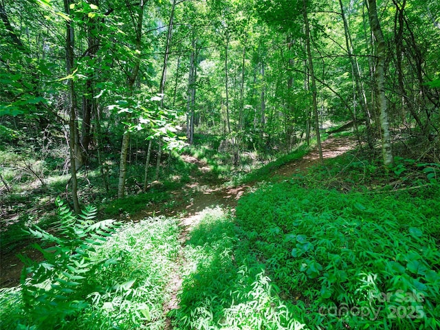 1377 Langford Branch Rd, Burnsville, NC 28714 - photo 19