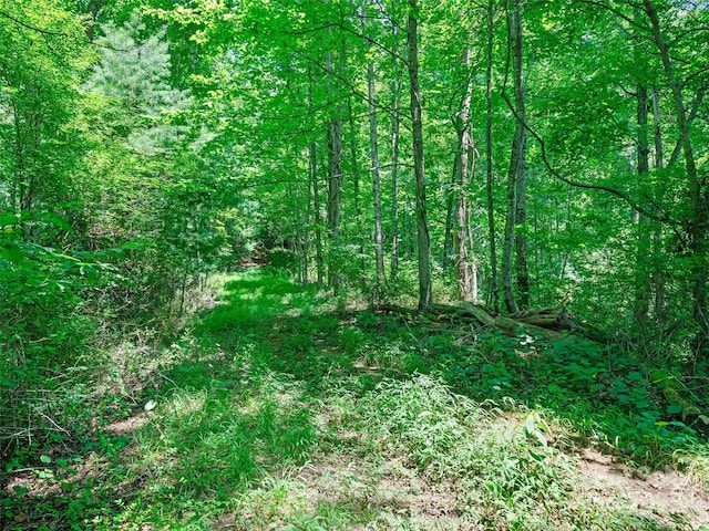 1377 Langford Branch Rd, Burnsville, NC 28714 - photo 20