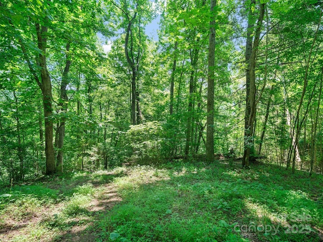 1377 Langford Branch Rd, Burnsville, NC 28714 - photo 21