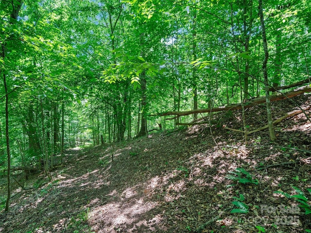 1377 Langford Branch Rd, Burnsville, NC 28714 - photo 23