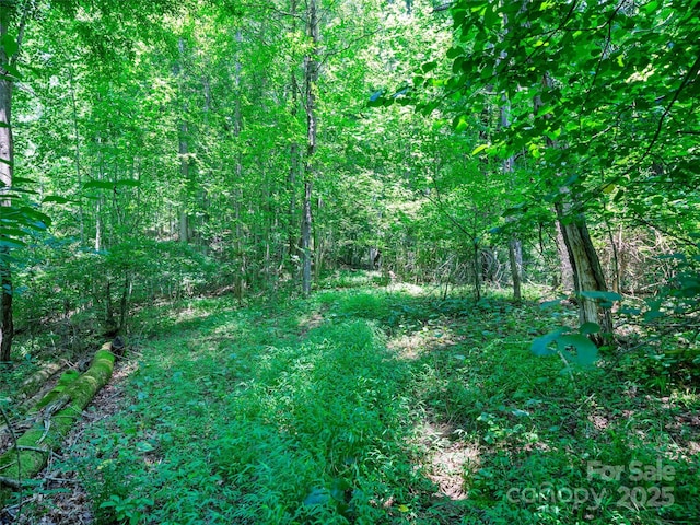 1377 Langford Branch Rd, Burnsville, NC 28714 - photo 24