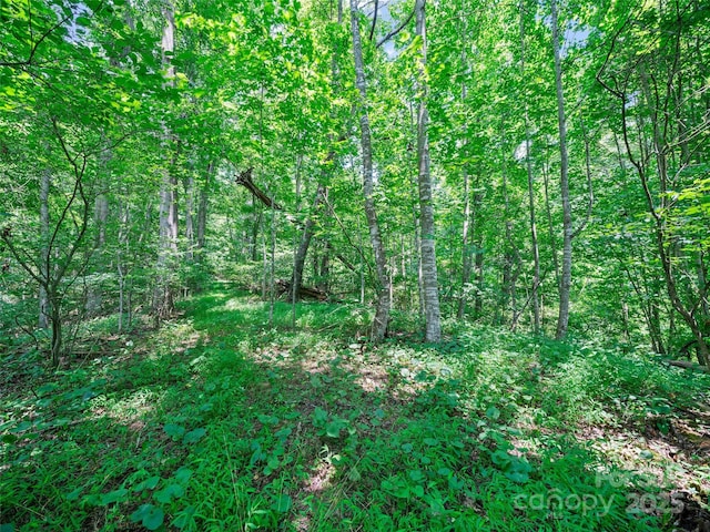 1377 Langford Branch Rd, Burnsville, NC 28714 - photo 25