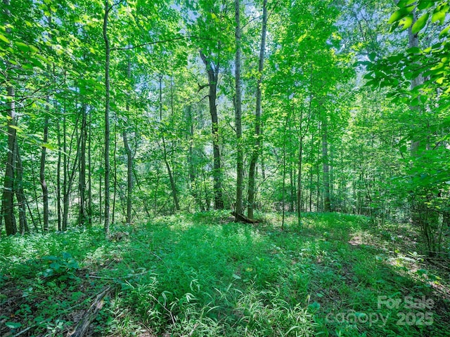 1377 Langford Branch Rd, Burnsville, NC 28714 - photo 26