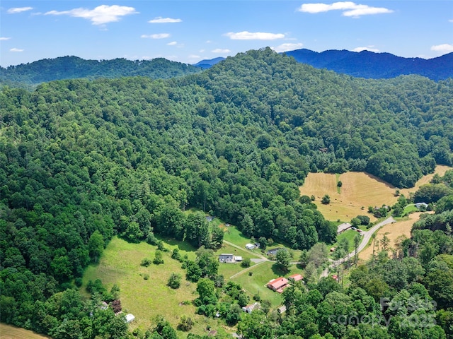 1377 Langford Branch Rd, Burnsville, NC 28714 - photo 29