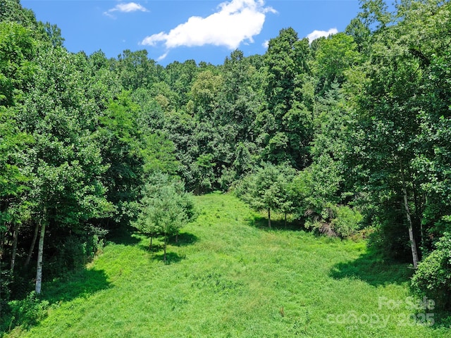 1377 Langford Branch Rd, Burnsville, NC 28714 - photo 30