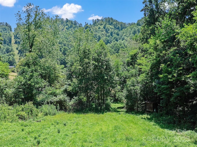 1377 Langford Branch Rd, Burnsville, NC 28714 - photo 33