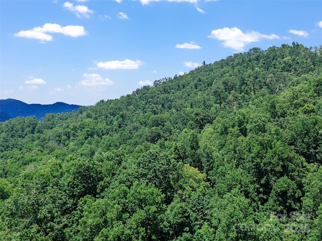 1377 Langford Branch Rd, Burnsville, NC 28714 - photo 34