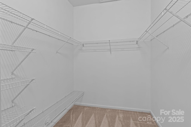 19973 Oak Leaf Cir, Cornelius, NC 28031 - photo 20