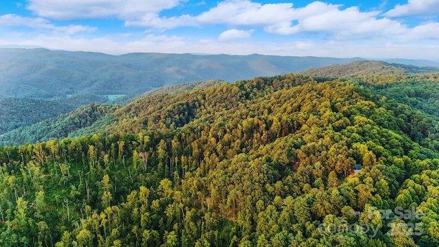 2095 Elk Ridge Rd, Ferguson, NC 28624 - photo 27