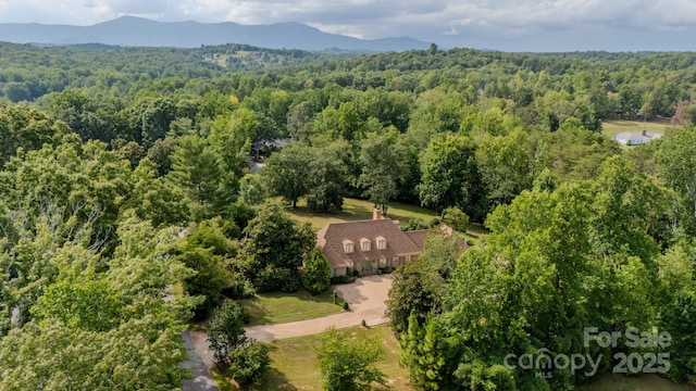 144 Silver Fox Ln, Tryon, NC 28782 - photo 5