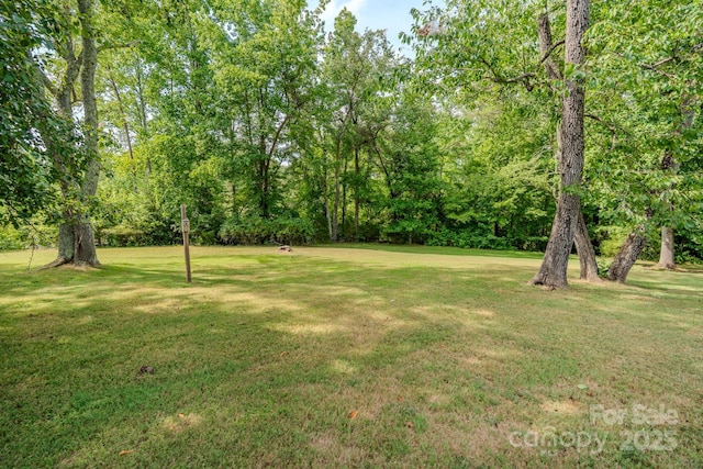 144 Silver Fox Ln, Tryon, NC 28782 - photo 46