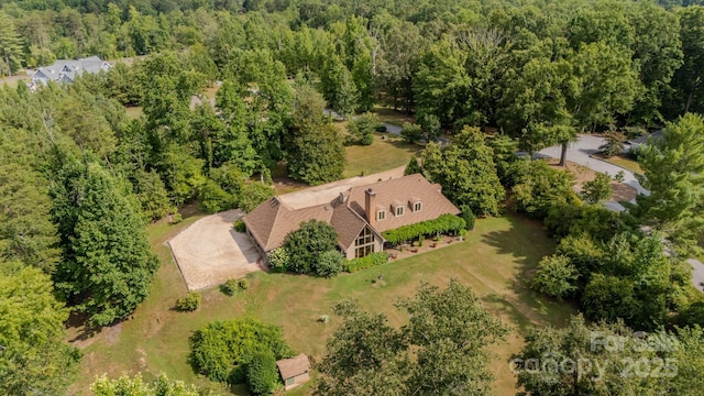 144 Silver Fox Ln, Tryon, NC 28782 - photo 48
