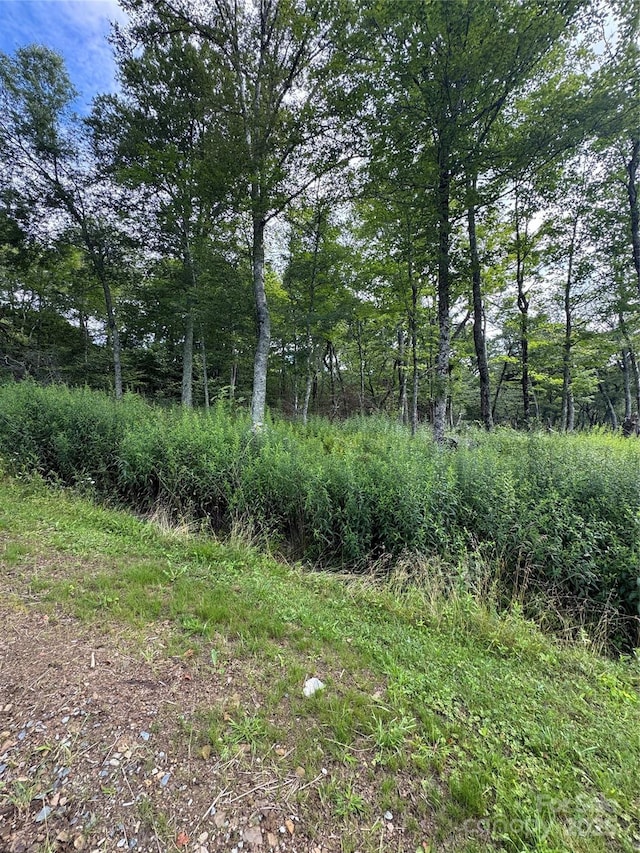 LOT108 Buena Vista Loop, Sugar Mountain, NC 28604 - photo 3