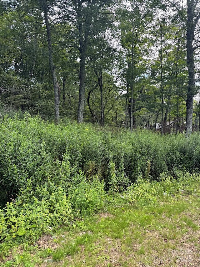 LOT108 Buena Vista Loop, Sugar Mountain, NC 28604 - photo 4
