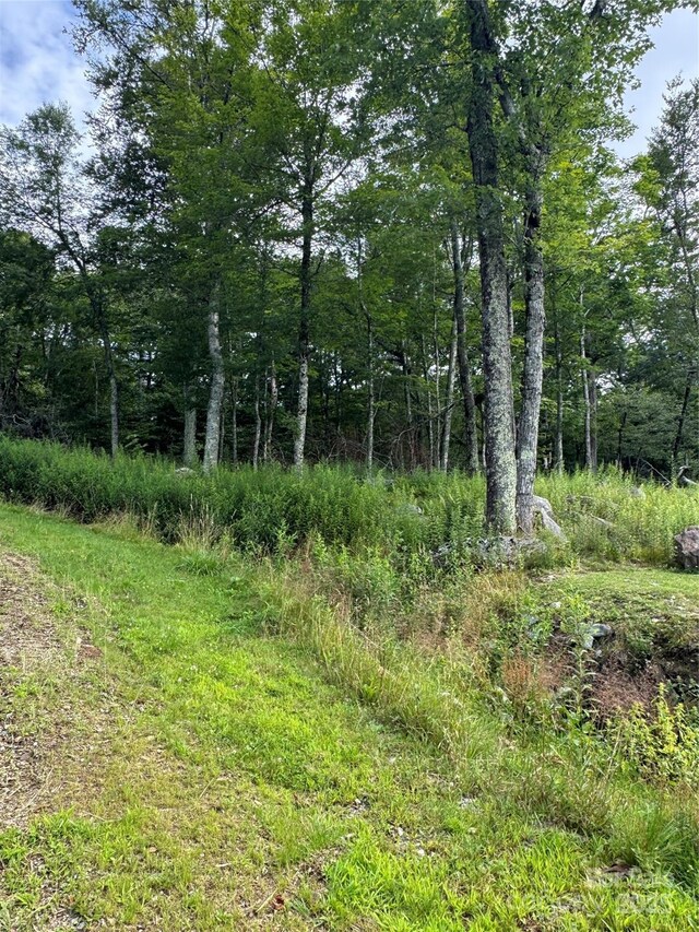 LOT108 Buena Vista Loop, Sugar Mountain, NC 28604 - photo 6