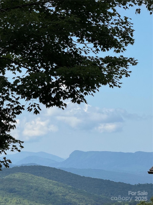 LOT108 Buena Vista Loop, Sugar Mountain, NC 28604 - photo 8