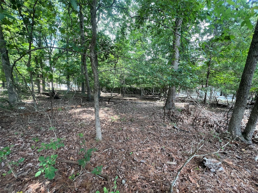 754 Woodrun Dr, Mount Gilead, NC 27306 - photo 2