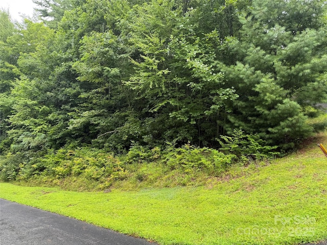 LOT6 Garnet Rd, Sylva, NC 28779 - photo 2