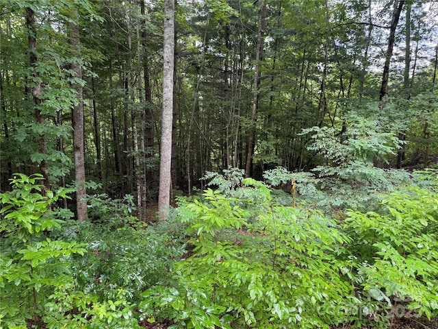 LOT6 Garnet Rd, Sylva, NC 28779 - photo 3