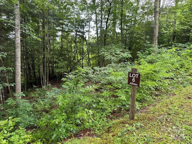 LOT6 Garnet Rd, Sylva, NC 28779 - photo 1