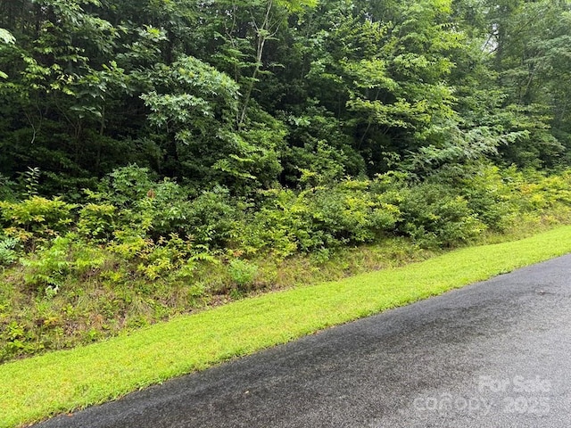 LOT6 Garnet Rd, Sylva, NC 28779 - photo 9