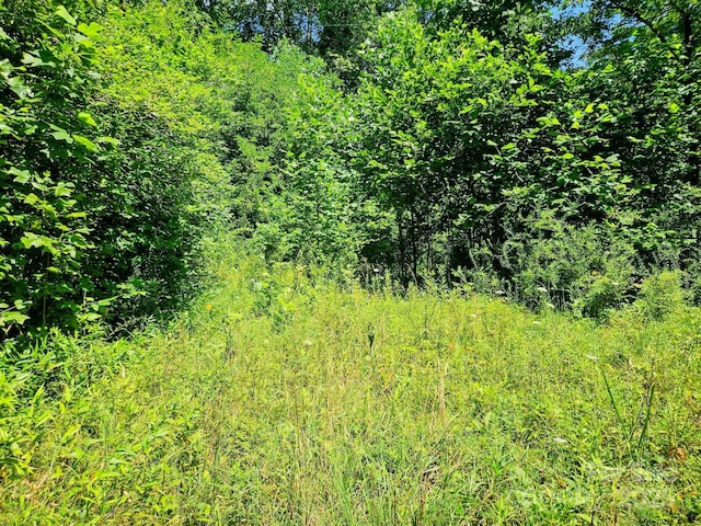 99 Banjo Branch Rd, Burnsville, NC 28714 - photo 2