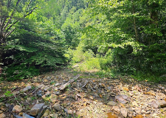 99 Banjo Branch Rd, Burnsville, NC 28714 - photo 5