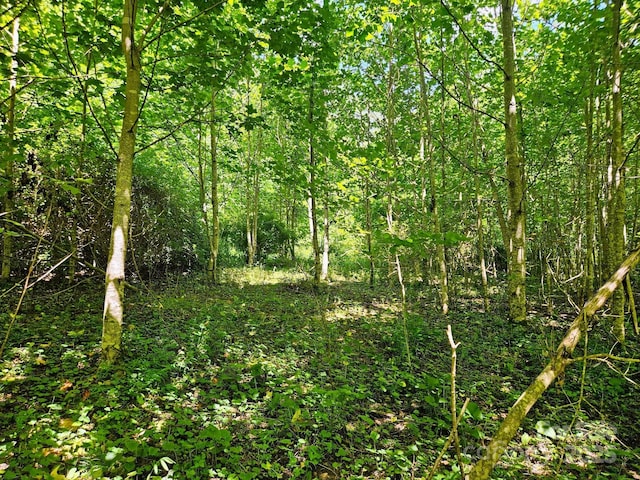 99 Banjo Branch Rd, Burnsville, NC 28714 - photo 6